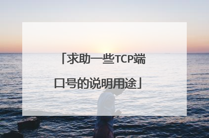 求助一些TCP端口号的说明用途