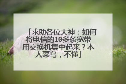 求助各位大神:如何将电信的10多条宽带用交换机集中起来?本人菜鸟,不懂