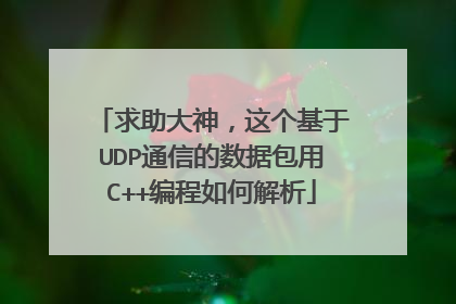 求助大神,这个基于UDP通信的数据包用C++编程如何解析