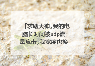求助大神,我的电脑长时间被udp流量攻击,我宽度也换过了,网卡也换了,请问怎么解决