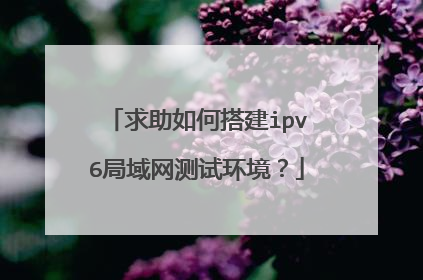 求助如何搭建ipv6局域网测试环境？