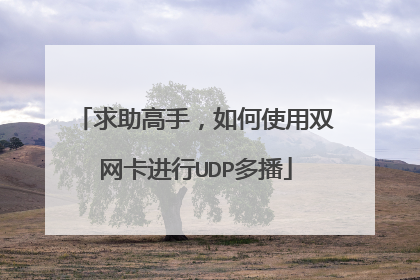 求助高手，如何使用双网卡进行UDP多播