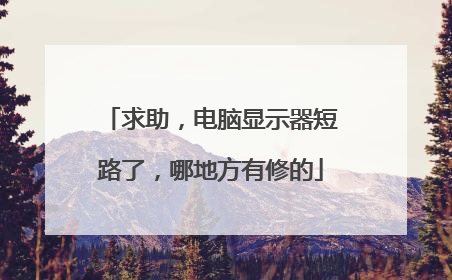 求助,电脑显示器短路了,哪地方有修的