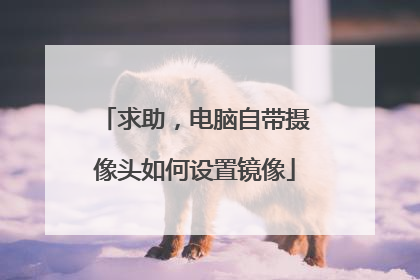 求助,电脑自带摄像头如何设置镜像