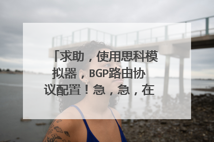 求助，使用思科模拟器，BGP路由协议配置！急，急，在线等！！！