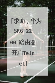 求助，华为SRG 2200 路由器开启Telnet
