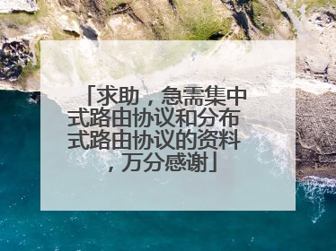 求助,急需集中式路由协议和分布式路由协议的资料,万分感谢