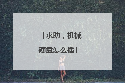 求助,机械硬盘怎么插