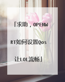 求助，OPENWRT如何设置Qos让LOL流畅