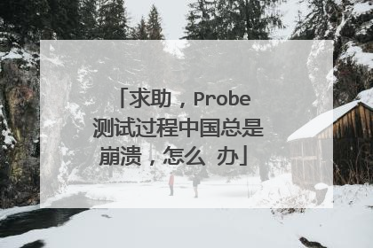 求助,Probe 测试过程中国总是崩溃,怎么 办