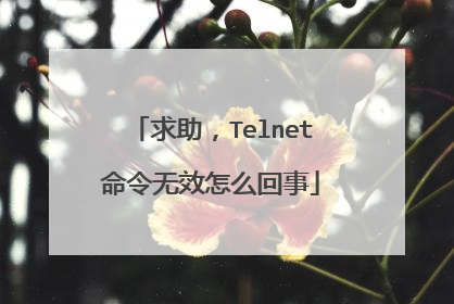 求助，Telnet命令无效怎么回事