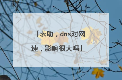 求助，dns对网速，影响很大吗