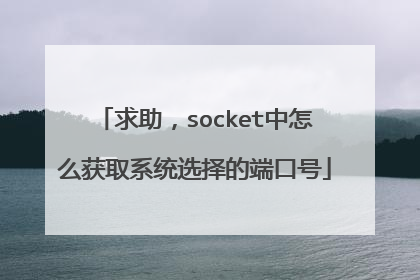 求助,socket中怎么获取系统选择的端口号