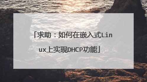 求助：如何在嵌入式Linux上实现DHCP功能