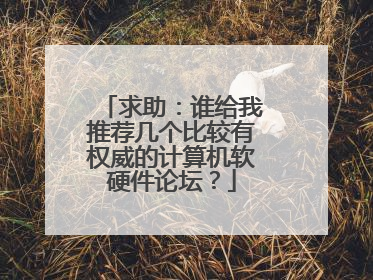 求助：谁给我推荐几个比较有权威的计算机软硬件论坛？