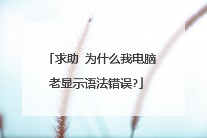 求助 为什么我电脑老显示语法错误?