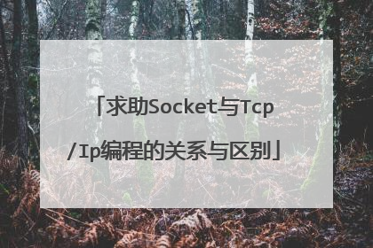 求助Socket与Tcp/Ip编程的关系与区别