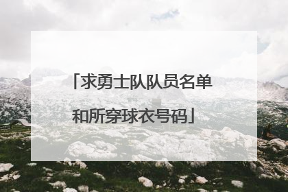 求勇士队队员名单和所穿球衣号码