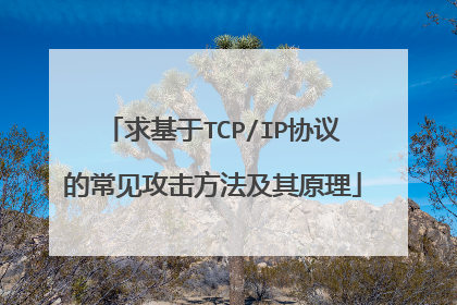 求基于TCP/IP协议的常见攻击方法及其原理