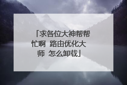 求各位大神帮帮忙啊 路由优化大师 怎么卸载