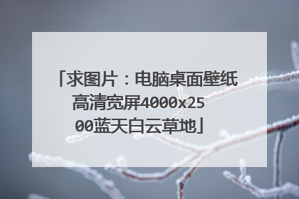 求图片:电脑桌面壁纸高清宽屏4000x2500蓝天白云草地