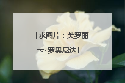 求图片：芙罗丽卡·罗奥尼达