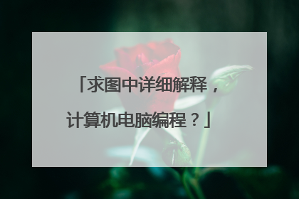 求图中详细解释，计算机电脑编程？