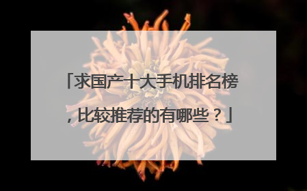 求国产十大手机排名榜,比较推荐的有哪些?