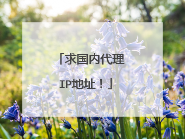 求国内代理IP地址!