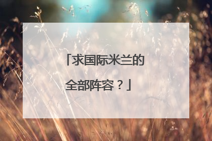 求国际米兰的全部阵容？