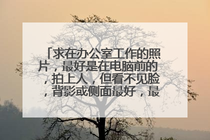 求在办公室工作的照片，最好是在电脑前的，拍上人，但看不见脸，背影或侧面最好，最好5 6张