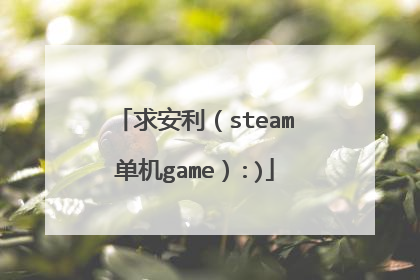 求安利(steam单机game):)
