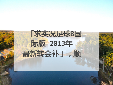 求实况足球8国际版 2013年最新转会补丁，顺便告一下我最新补丁的部分人名字