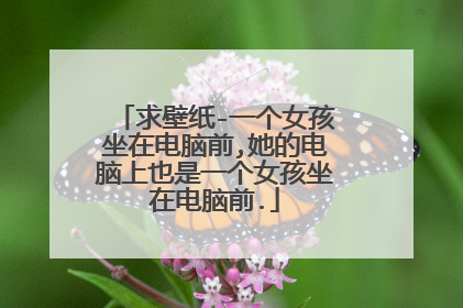 求壁纸-一个女孩坐在电脑前,她的电脑上也是一个女孩坐在电脑前.