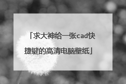 求大神给一张cad快捷键的高清电脑壁纸