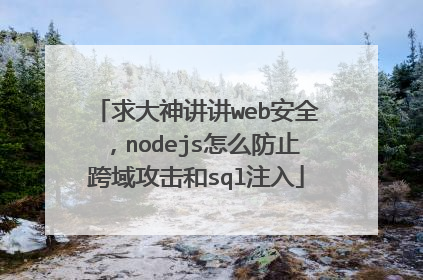 求大神讲讲web安全,nodejs怎么防止跨域攻击和sql注入
