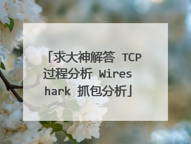 求大神解答 TCP过程分析 Wireshark 抓包分析
