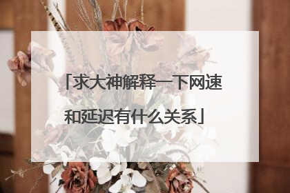 求大神解释一下网速和延迟有什么关系