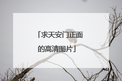 求天安门正面的高清图片