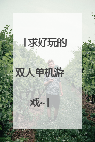 求好玩的双人单机游戏~