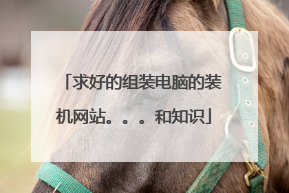 求好的组装电脑的装机网站。。。和知识