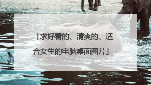 求好看的、清爽的、适合女生的电脑桌面图片