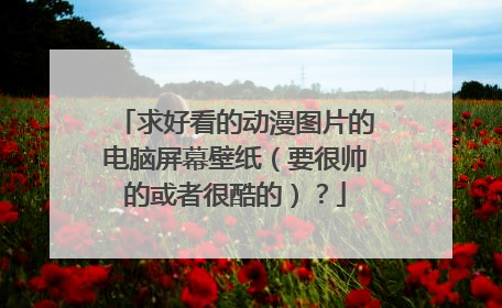 求好看的动漫图片的电脑屏幕壁纸（要很帅的或者很酷的）？