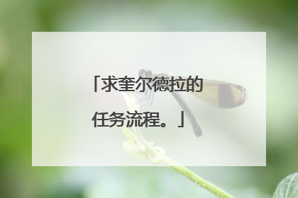 求奎尔德拉的任务流程。