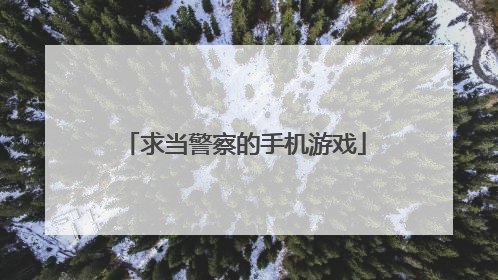 求当警察的手机游戏