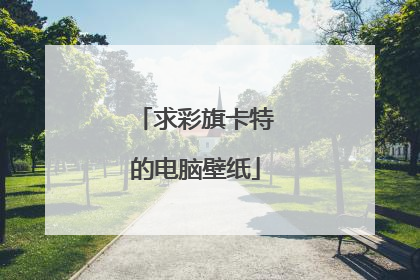 求彩旗卡特的电脑壁纸