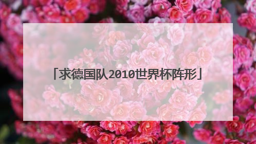 求德国队2010世界杯阵形