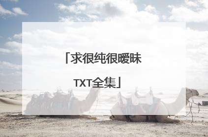 求很纯很暧昧TXT全集