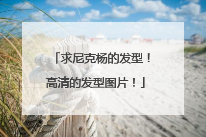 求尼克杨的发型！高清的发型图片！