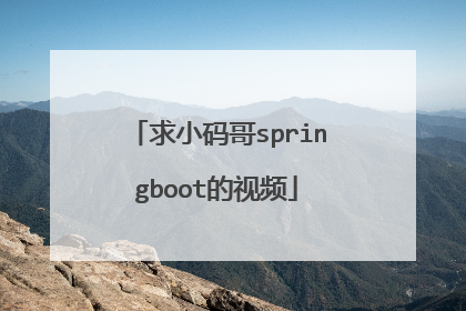 求小码哥springboot的视频